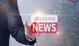 保险新闻最新爆料大全,揭秘行业动态与热点事件